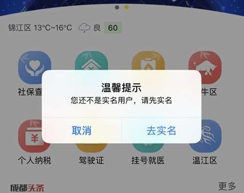 查社保公积金、缴水电气费、找厕所、看菜价……亲测这款成都人必下的APP，好方便鸭！