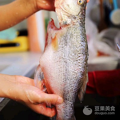 松鼠魚的做法,松鼠魚的做法視頻