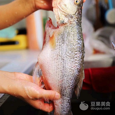 松鼠鱼的做法,松鼠鱼的做法视频