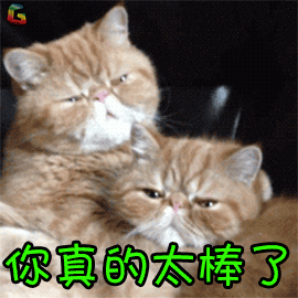 福州蓝调袭胸事件有进展了！但有些网友的评论真让人心寒！三观不忍直视！