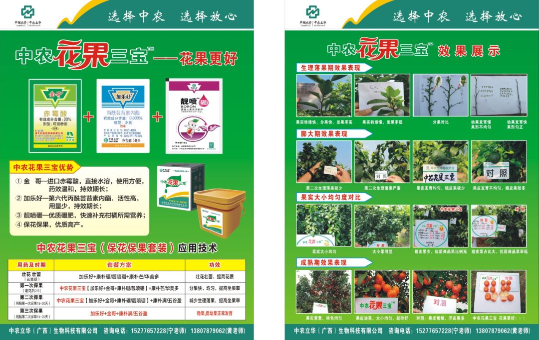 葡萄保花保果用什么药最好(葡萄保花保果什么时候打药)-第19张图片-科