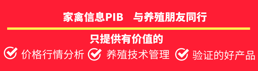 直播：笼养817肉鸡饲养管理要点