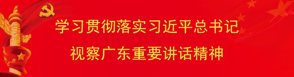 广百铂金今日价格（铂金950今日价格）