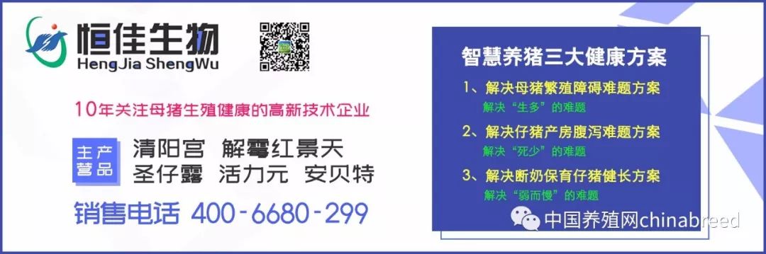 江西九江今日猪价（九江金价今日价）