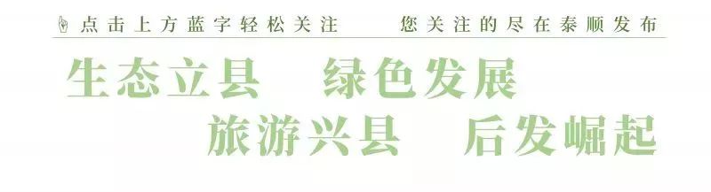 「关注」2018年第四期泰顺好人投票要开始啦