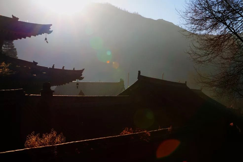 百家姓肖排名第几（详解中国最奇怪的姓氏）
