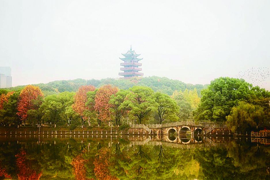 株洲中心汽车站将开通黄花机场登机牌办理服务，年底启用