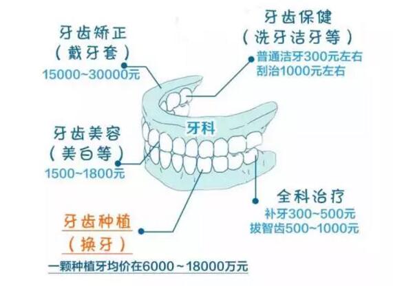 换几颗牙等于一辆宝马没了 揭秘看牙为何这么贵