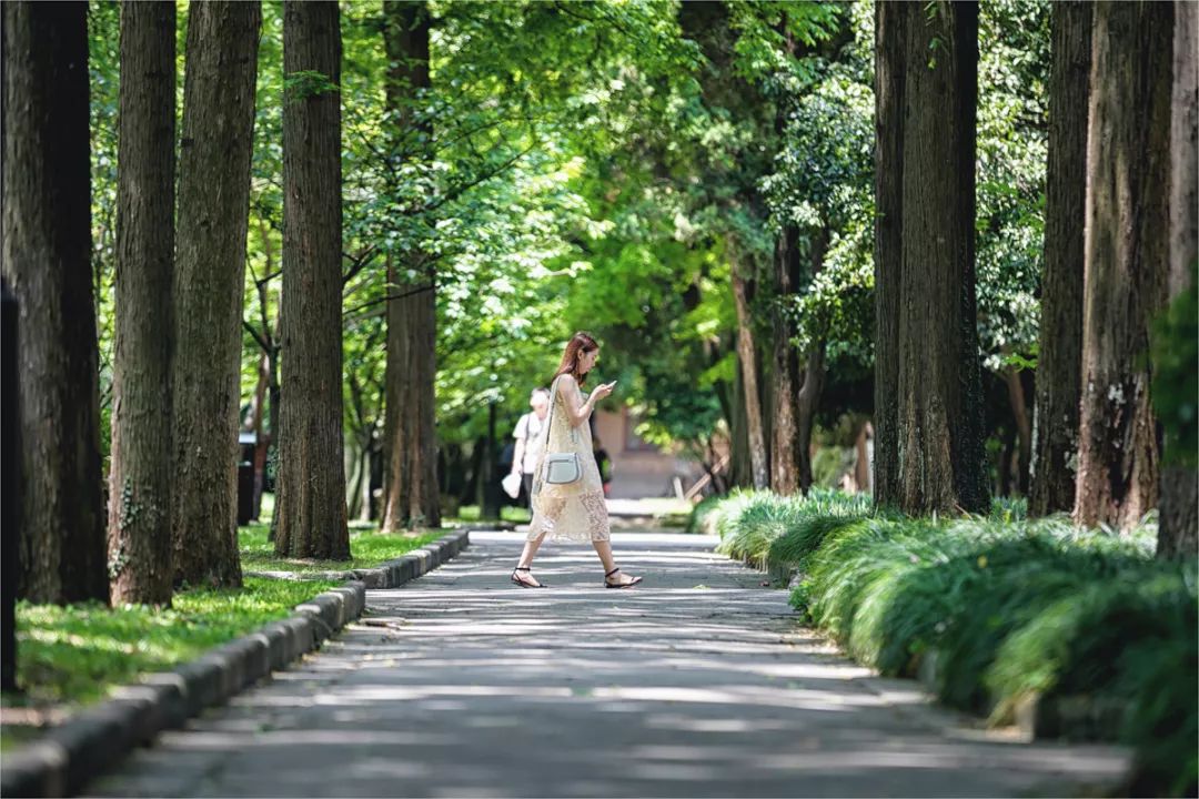 历史上状元最多的城市，藏着“天堂里的书房”和600年的菜场｜城市指南