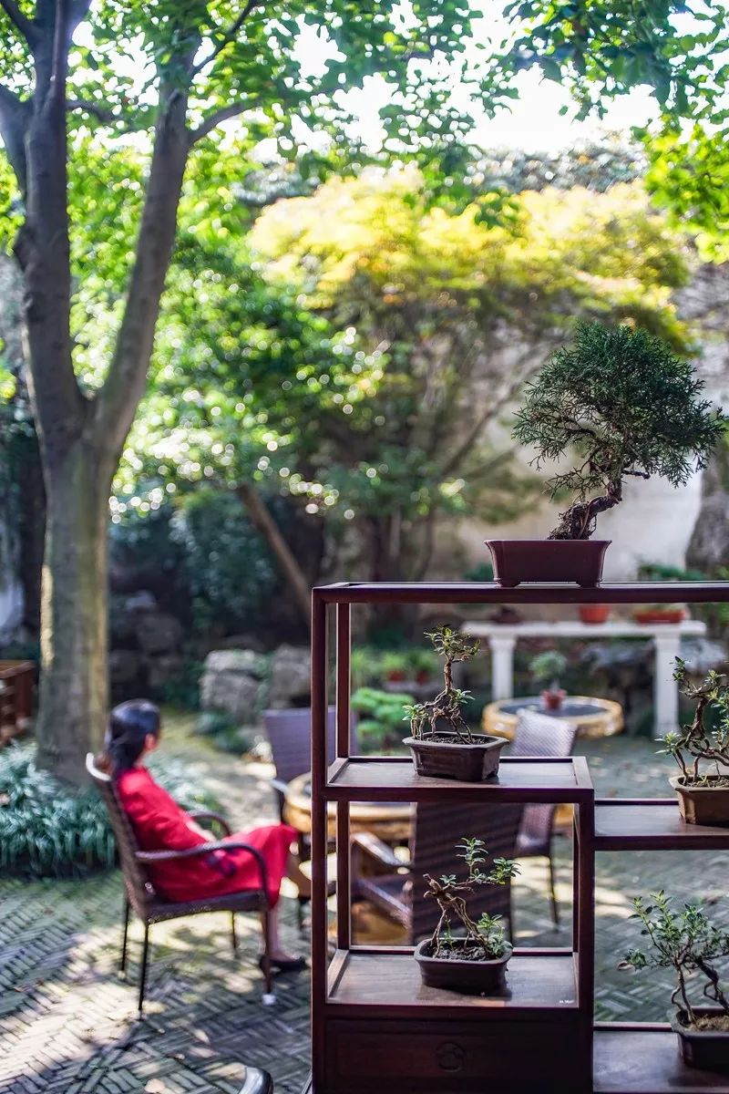 历史上状元最多的城市，藏着“天堂里的书房”和600年的菜场｜城市指南