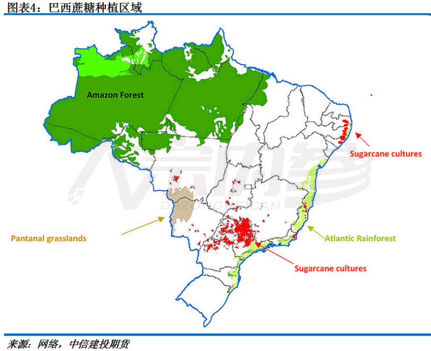 白糖世界地图系列——巴西