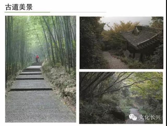 全长1130公里 莫干山成为天目山国家森林步道起点