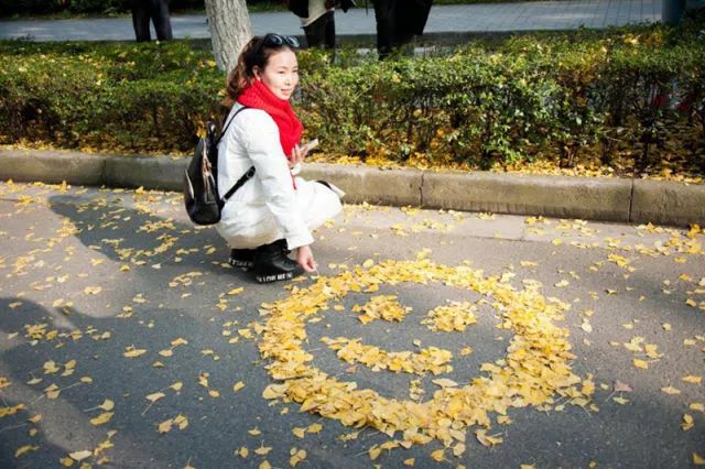 遇见丨满地黄金叶，一叶一成都