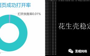 花生壳内网穿透v3.10发布：化繁为简 提速100%