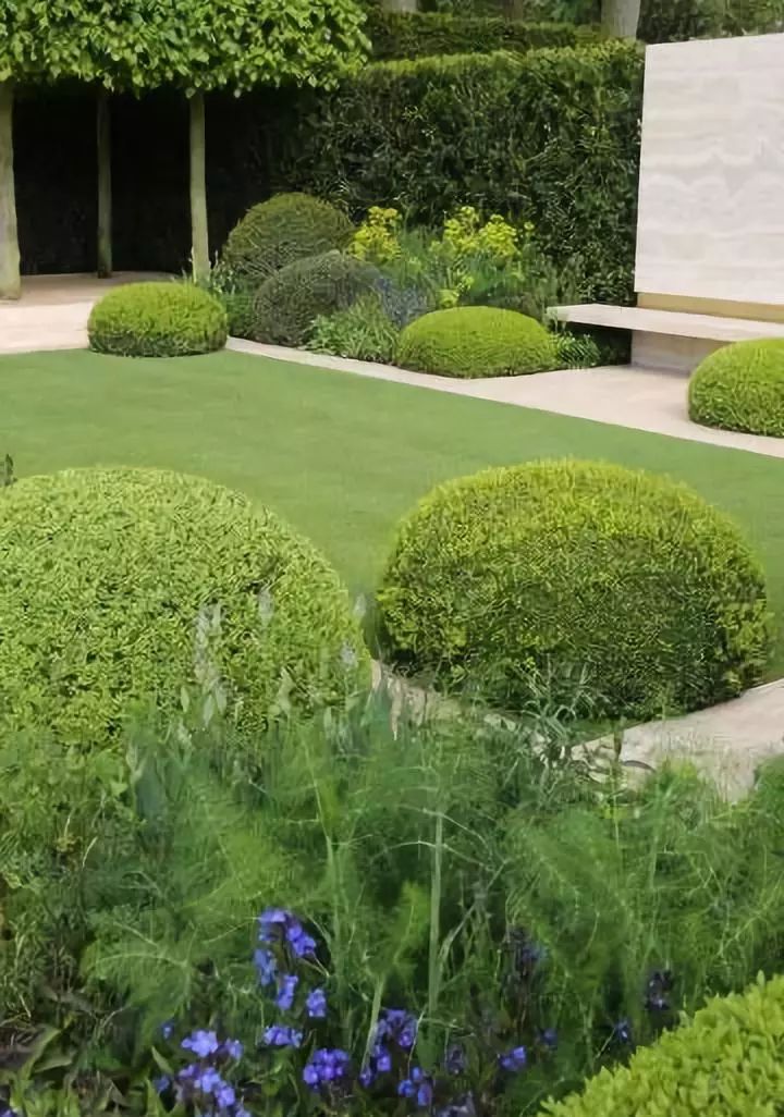 绿植球球们,在花园世界是什么样子的呢?