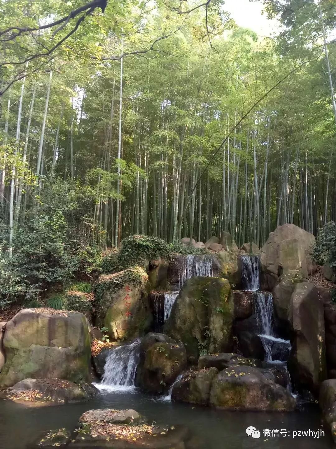 「游在苏州」虎丘游记（下篇/高志明）