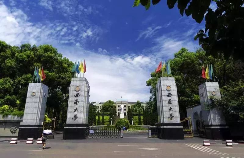 西南大学组建医学院西南大学医学研究院官网