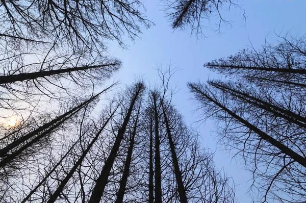 你可以换个角度拍摄