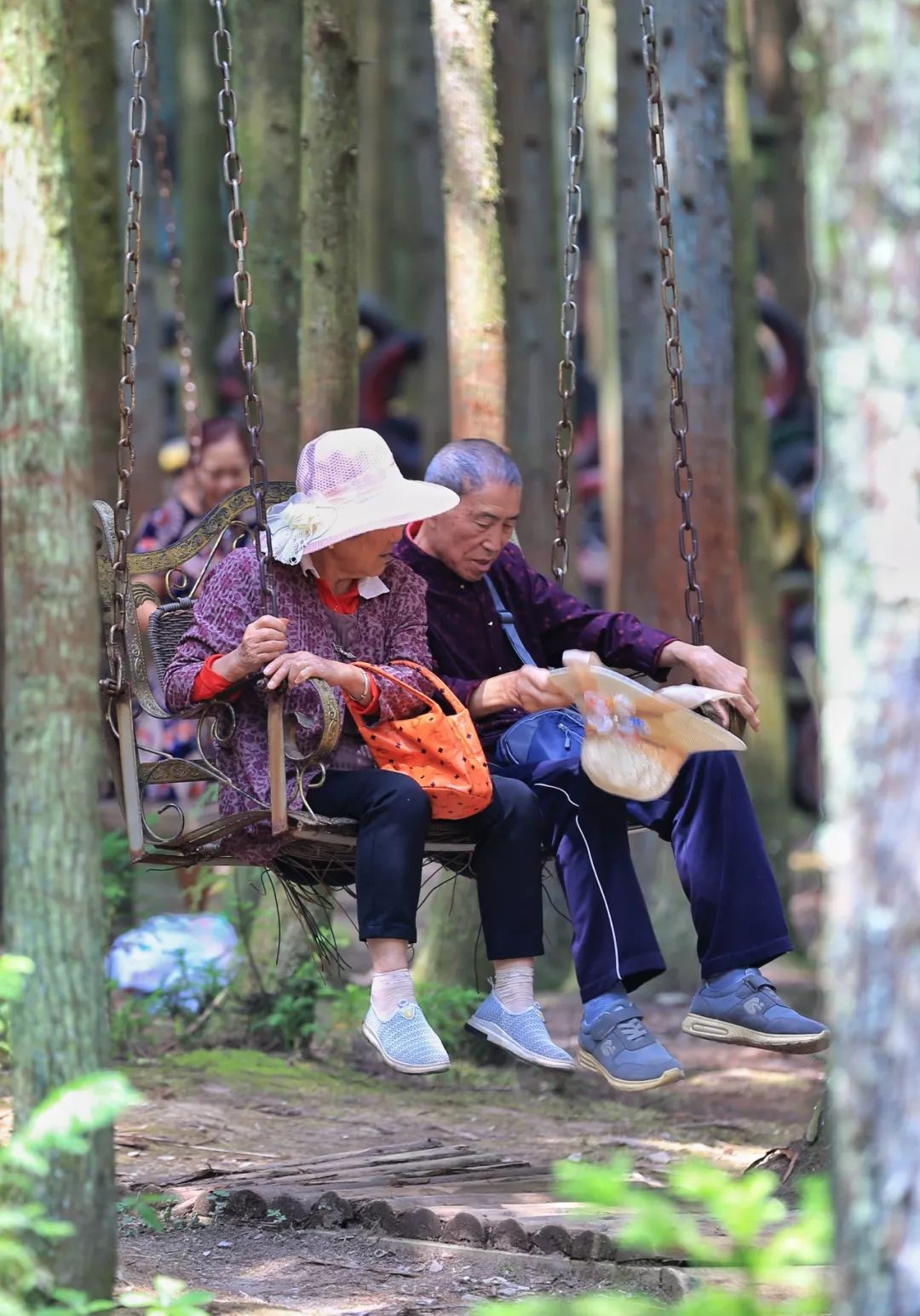 江西甲路镇在哪里(2019，伸手摘星)