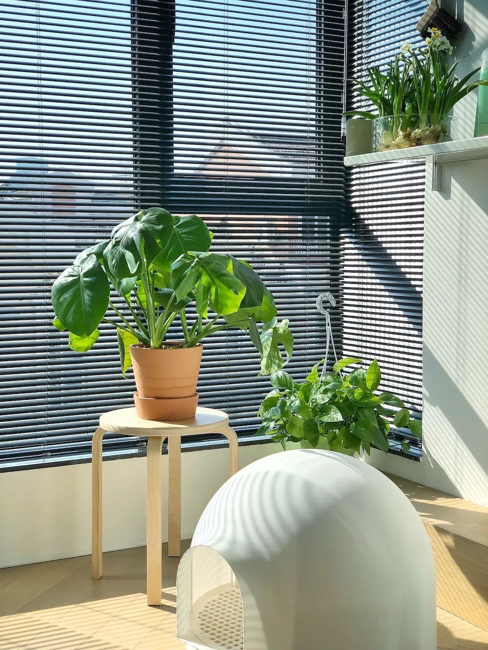 他家北欧得有点猛！你一口气看不完