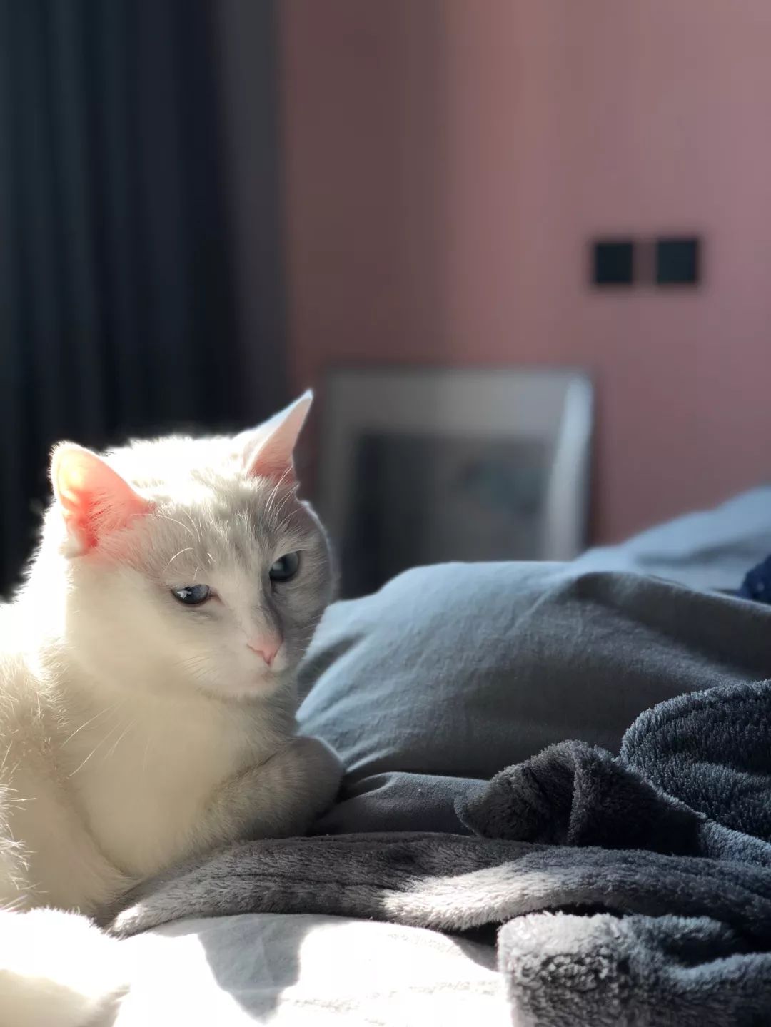 他家北欧得有点猛！你一口气看不完