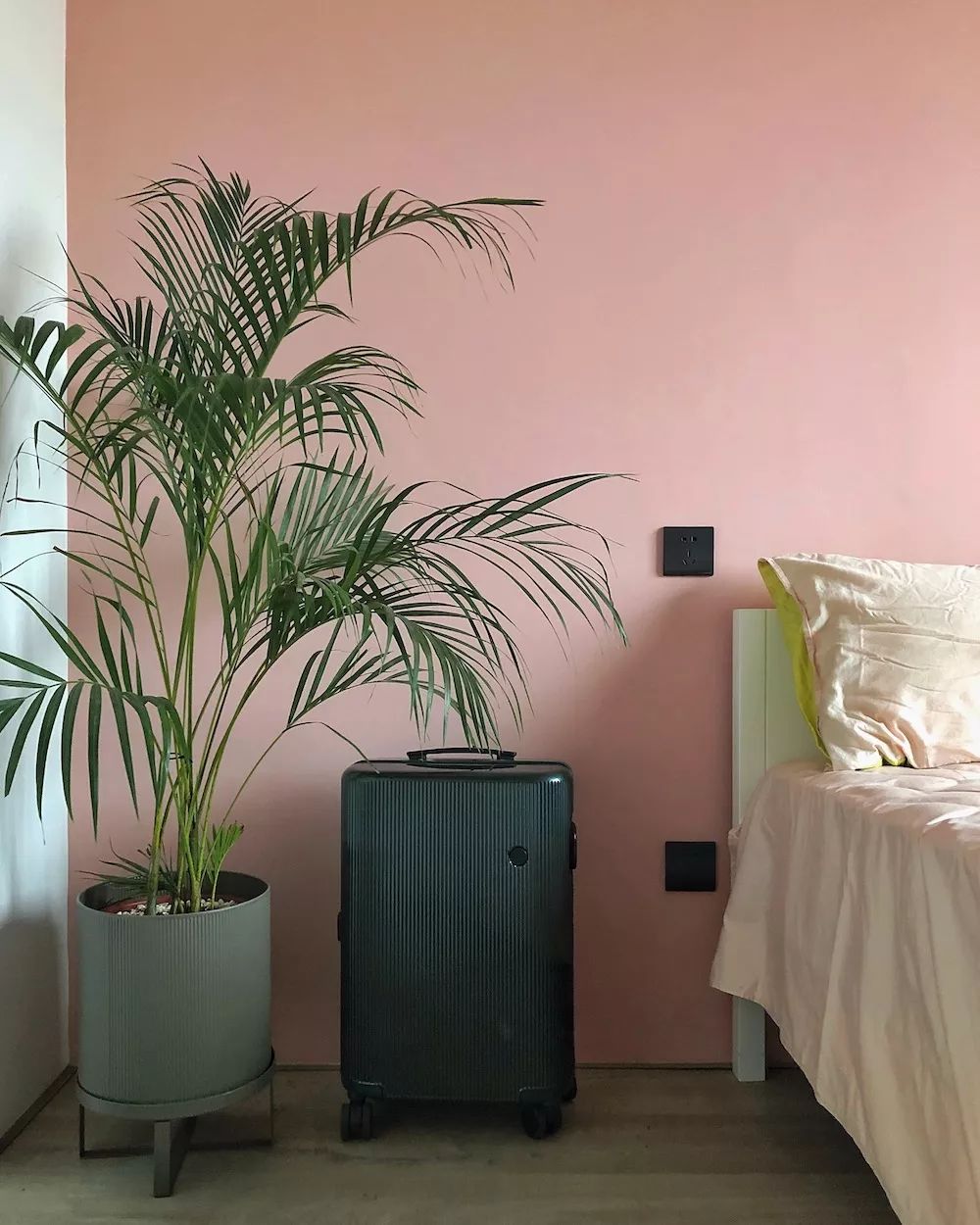 他家北欧得有点猛！你一口气看不完