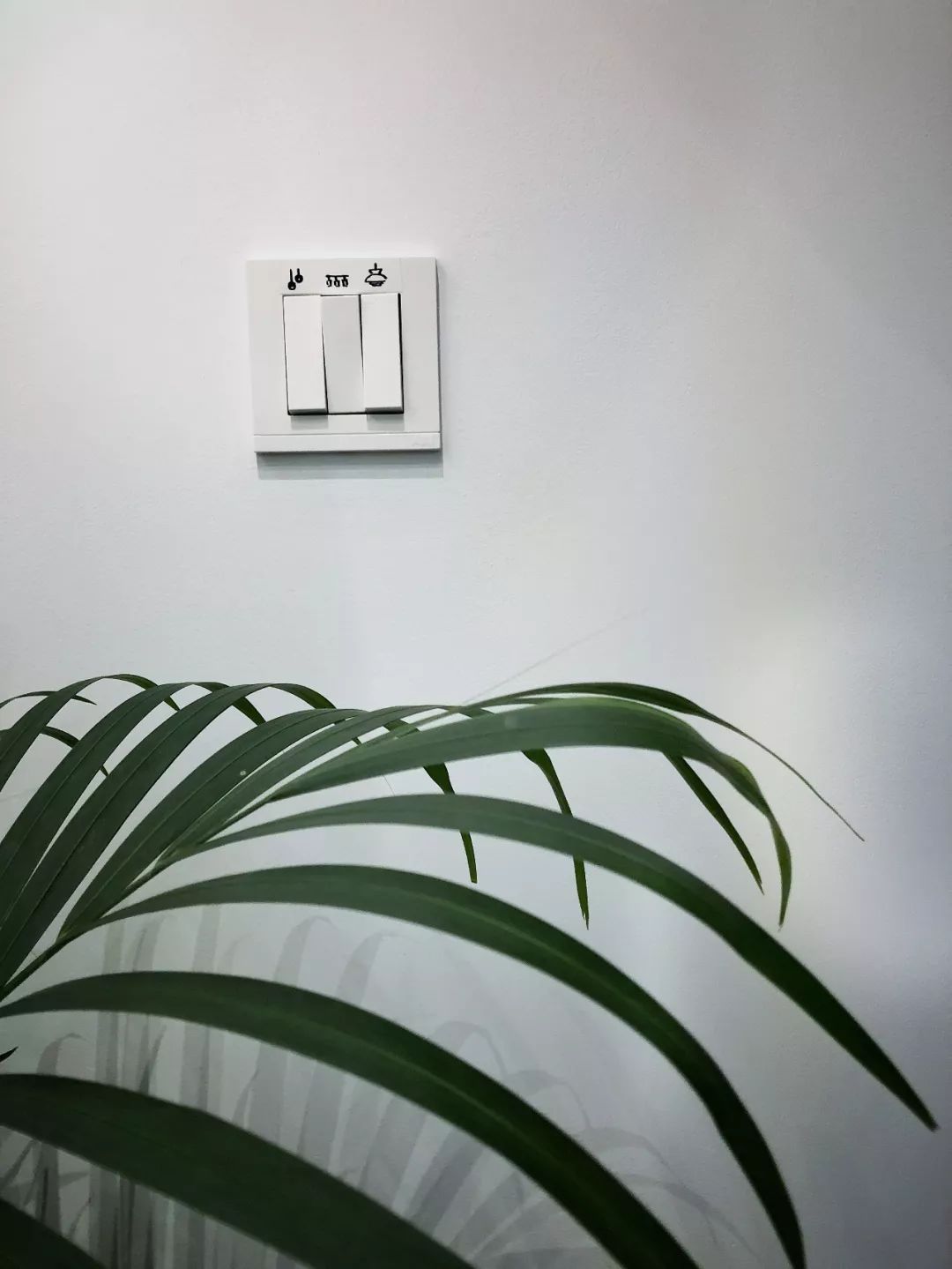 他家北欧得有点猛！你一口气看不完