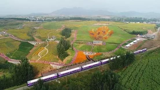 喜事连连！关于秦皇岛，2019年的大事儿你不能不知道