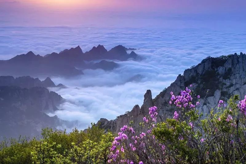 喜事连连！关于秦皇岛，2019年的大事儿你不能不知道