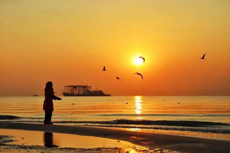 喜事连连！关于秦皇岛，2019年的大事儿你不能不知道