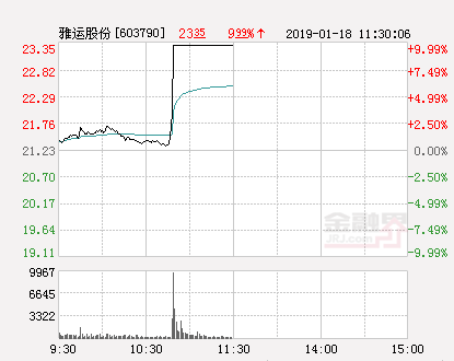 快讯：雅运股份涨停 报于23.35元