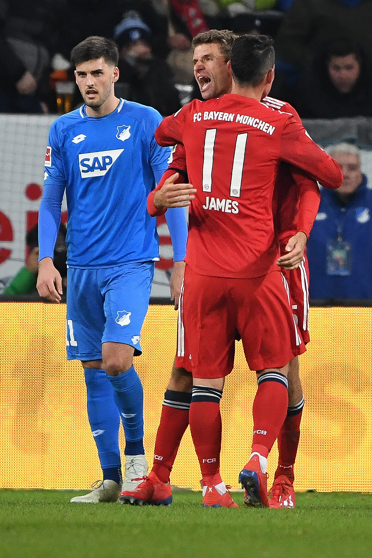 新华社照片,辛斯海姆(德国),2019年1月19日