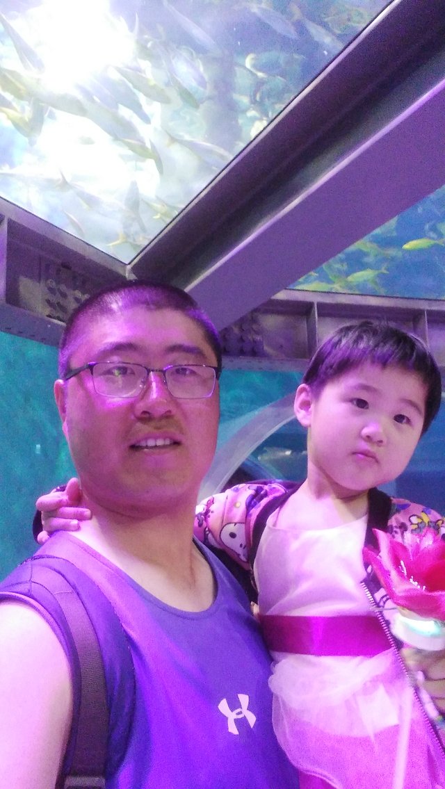 大连奶爸周末带娃宝贵经验分享 大连景点单日游——大连老虎滩海洋公园