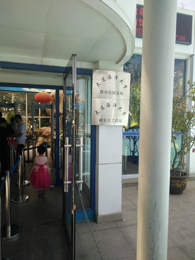 大连奶爸周末带娃宝贵经验分享 大连景点单日游——大连老虎滩海洋公园