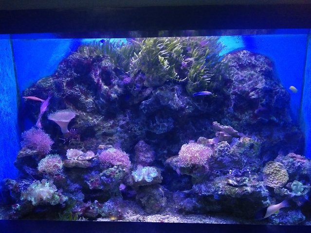 大连奶爸周末带娃宝贵经验分享 大连景点单日游——大连老虎滩海洋公园