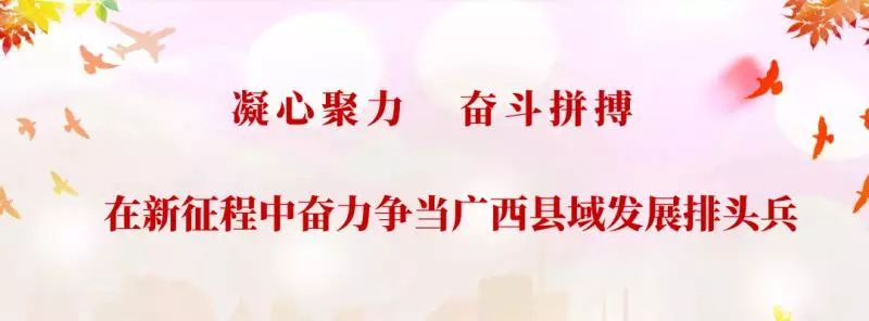 免费高清在线观看足球直播（「直播」不能到现场观看篮球比赛？收好这份攻略 让您畅爽整个赛程）