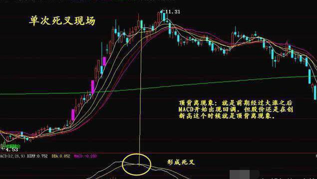 神秘游资团体研究神秘MACD指标，以一己之力颠覆A股市场！