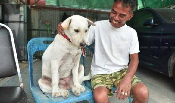 庆祝失踪爱犬回家！泰男摆流水席任人吃，邻居：谁能比他更爱狗