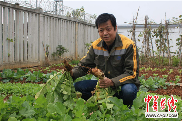 安全员“陈大个儿”的春运值守