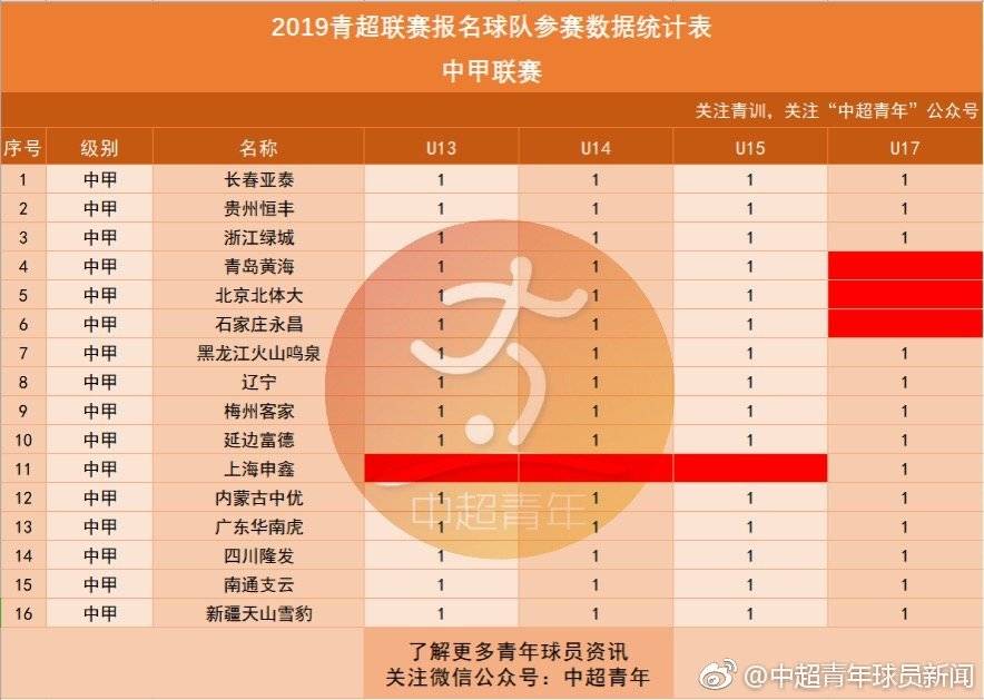 中超什么是青超(2019青超联赛共383队参赛，按年龄分为5个组别)