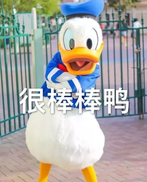 月薪上万还有编！多所名校招人，湖南师大、长沙学院、涉外经济学院…最高年薪115万！