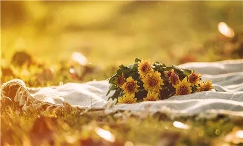 2019年最佳成人作文：《喝酒》