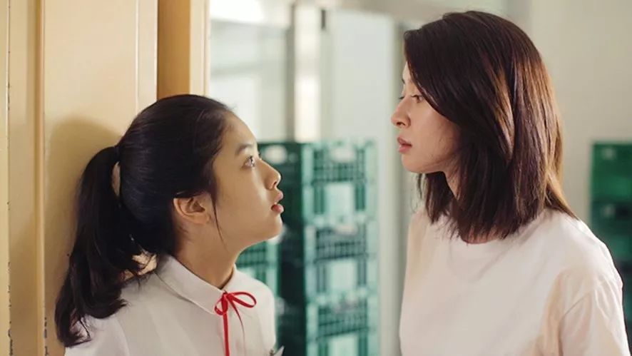 没有堕胎打架姐妹撕逼,《少女的世界》平凡少女的初恋世界