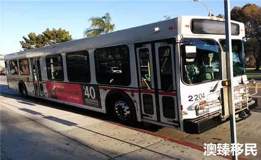 超详细澳洲生活指南，当地购物、饮食、交通全囊括