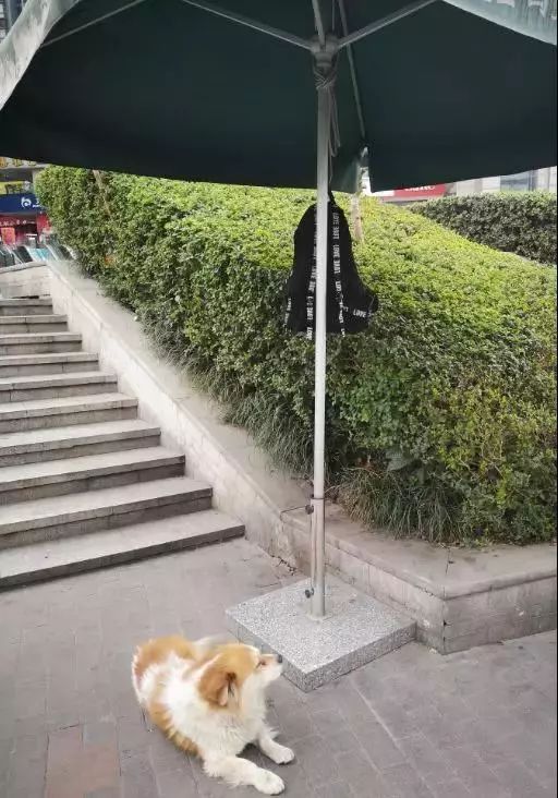 溜溜住是什么意思(溜溜了啥意思) - 风集网