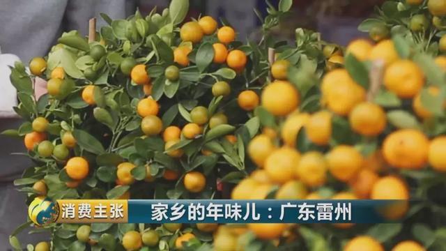 还福、摆年花、点油灯...带你到广东雷州体验不同的年味儿！