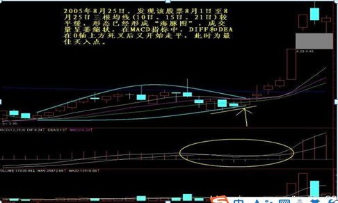 短线黑马选股六法，你就是下一个“巴菲特