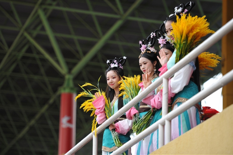 7天500万人次“逛庙会”，广府庙会尽显大湾区文化魅力