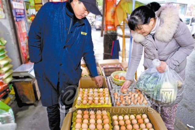 芜湖市今日鸡蛋价，天津鸡蛋价格今日价一斤