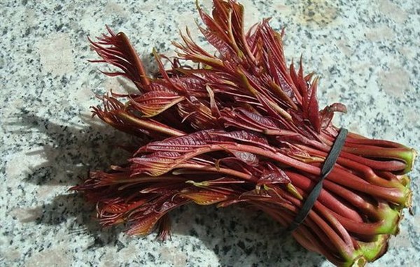 香椿的功效與禁忌,香椿的功效與禁忌?